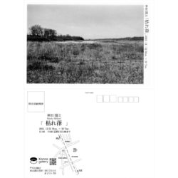 写真展 / 枯れ葎